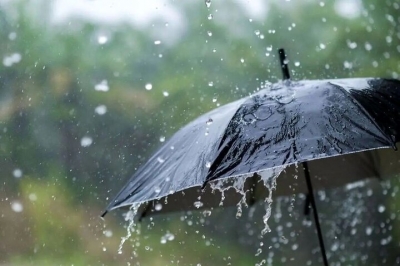 مدیرکل هواشناسی استان ایلام گفت: فعالیت سامانه بارشی بهاری از امروز در ایلام آغاز می شود.